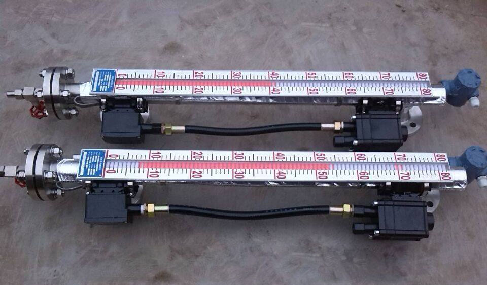 電伴熱磁翻板液位計(jì)